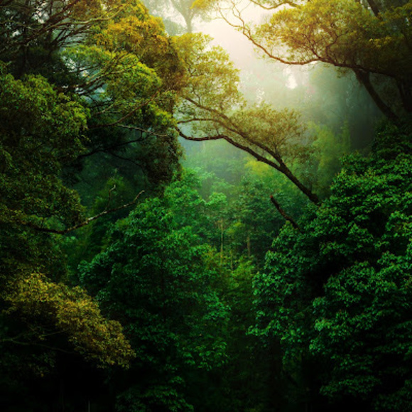 Meet your Posher, Luis - Picture 1 of 1